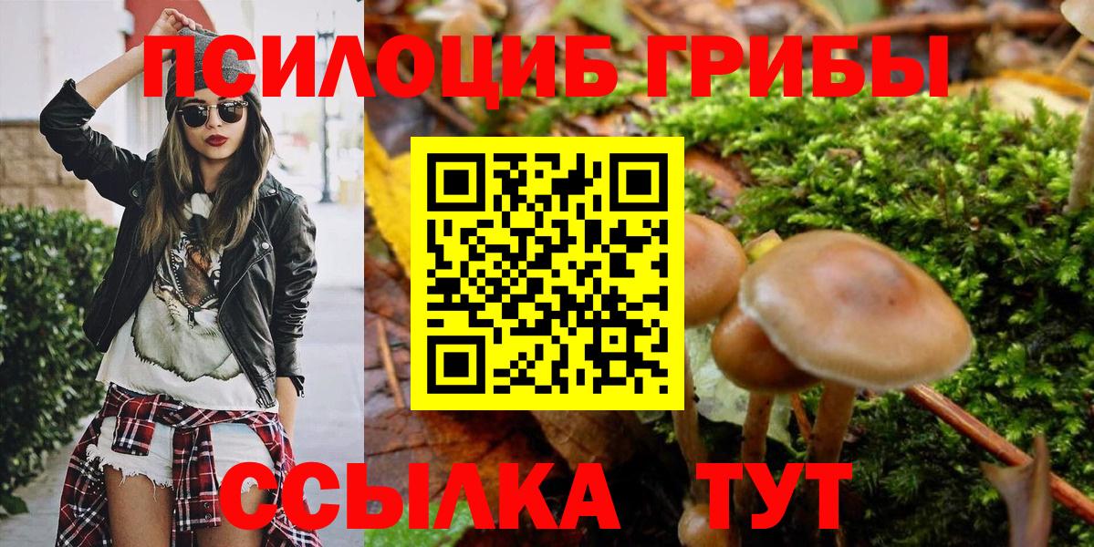 Псилоцибиновые грибы Psilocybine cubensis  Галлюциногенные грибы мицелий  Тавда  Вход с VPN 
