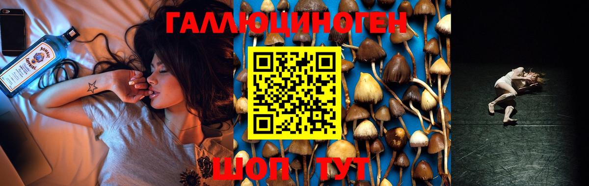 Галлюциногенные грибы мухоморы Тавда